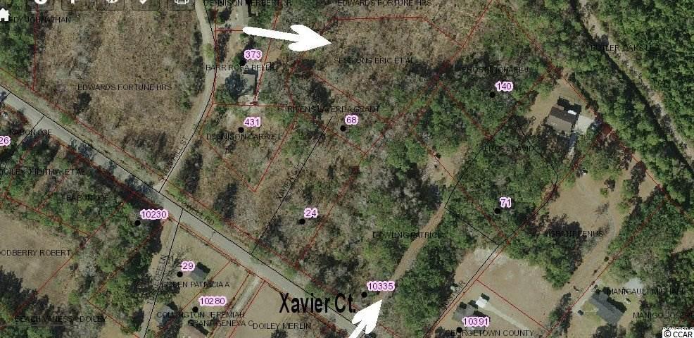 TBD Xavier Ct. Georgetown, SC 29440