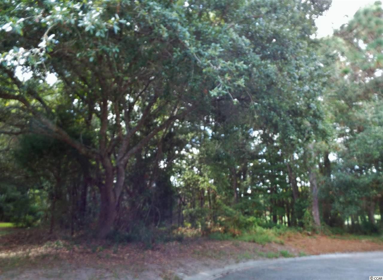 Lot 22-C Grey Fox Loop Pawleys Island, SC 29585