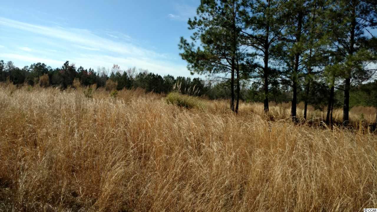9416 County Line Rd. Andrews, SC 29510