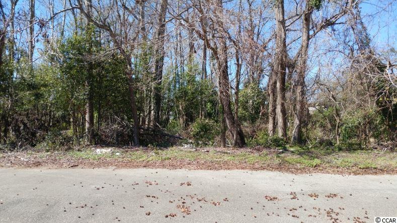 Lot 316 29th Ave. S Atlantic Beach, SC 29582