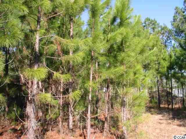 Lot 4 Dunn Short Cut Rd. Conway, SC 29526