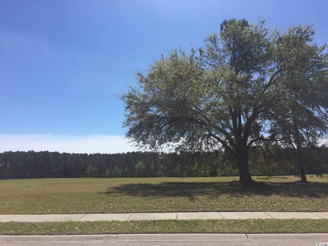 Lot 32 Ave. of the Palms Myrtle Beach, SC 29579