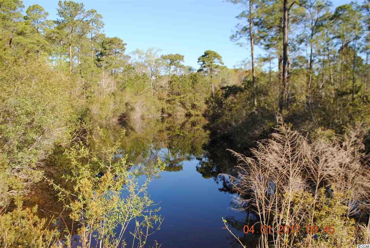 Lot 145 Ocean Lakes Loop Pawleys Island, SC 29585