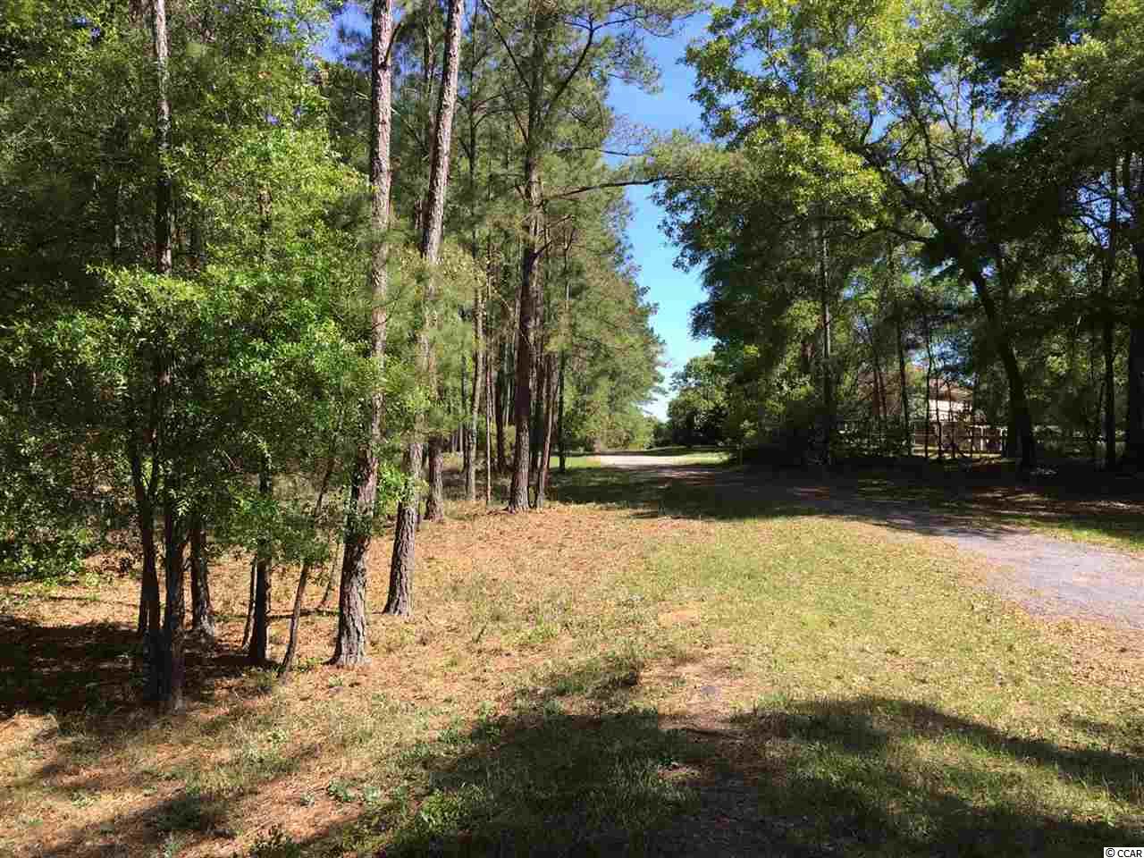 Lot 6B Wilderness Ln. Murrells Inlet, SC 29576