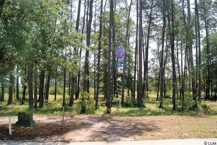 1008 Glossy Ibis Dr. Conway, SC 29526