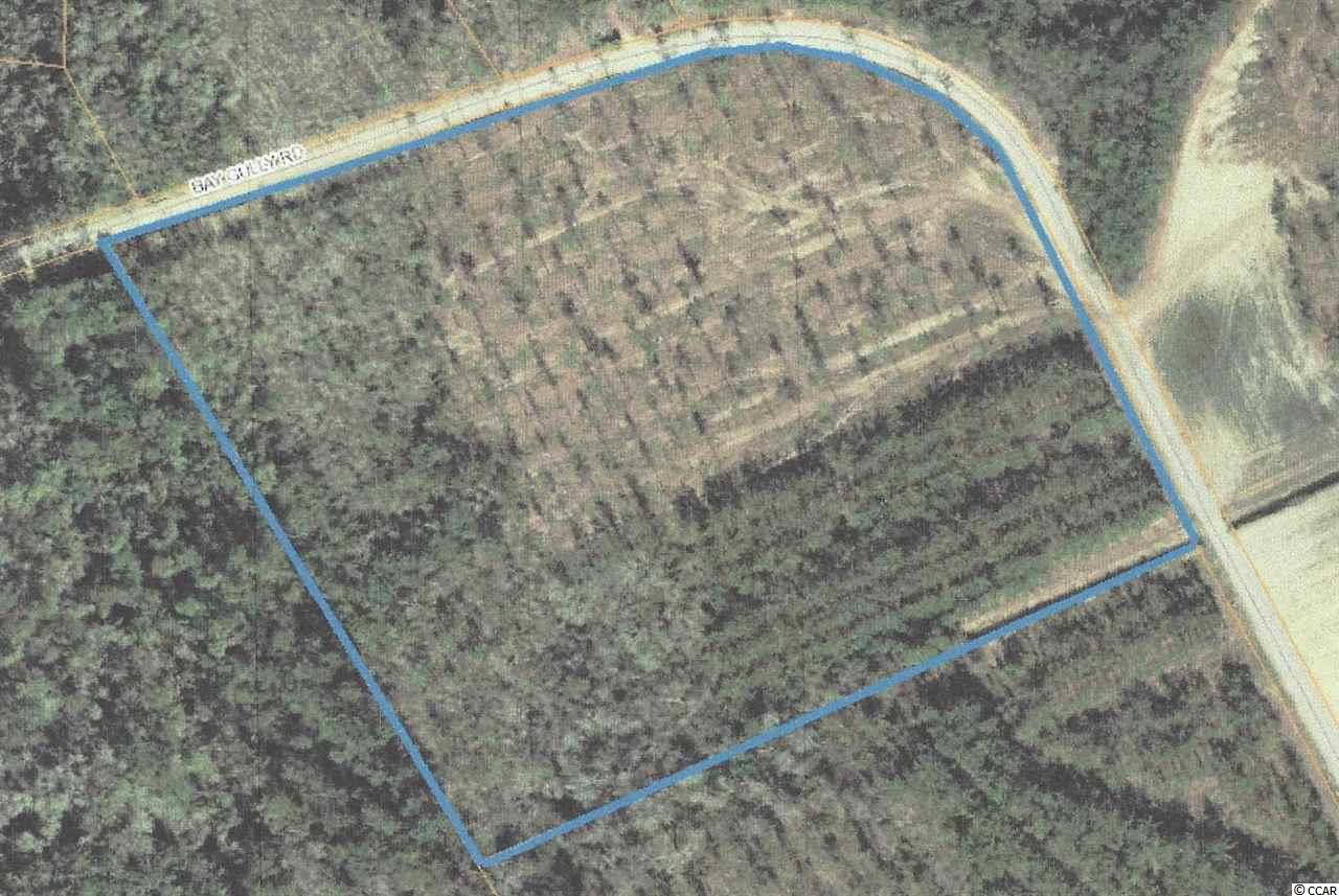 TBD Bay Gully Rd. Aynor, SC 29511