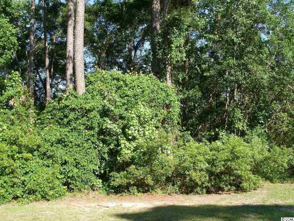 Lot 19 Old Cypress Circle Pawleys Island, SC 29585