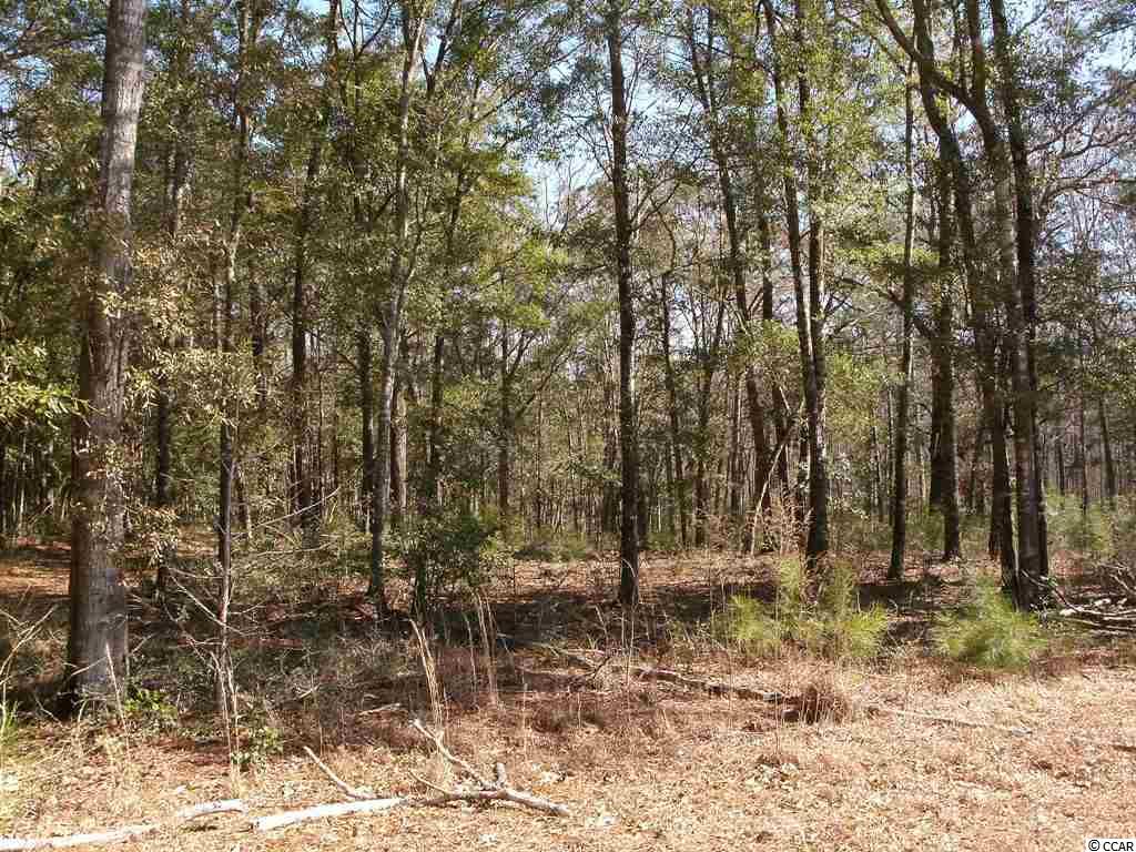 Lot 7 Shadow Moss Ln. Murrells Inlet, SC 29576