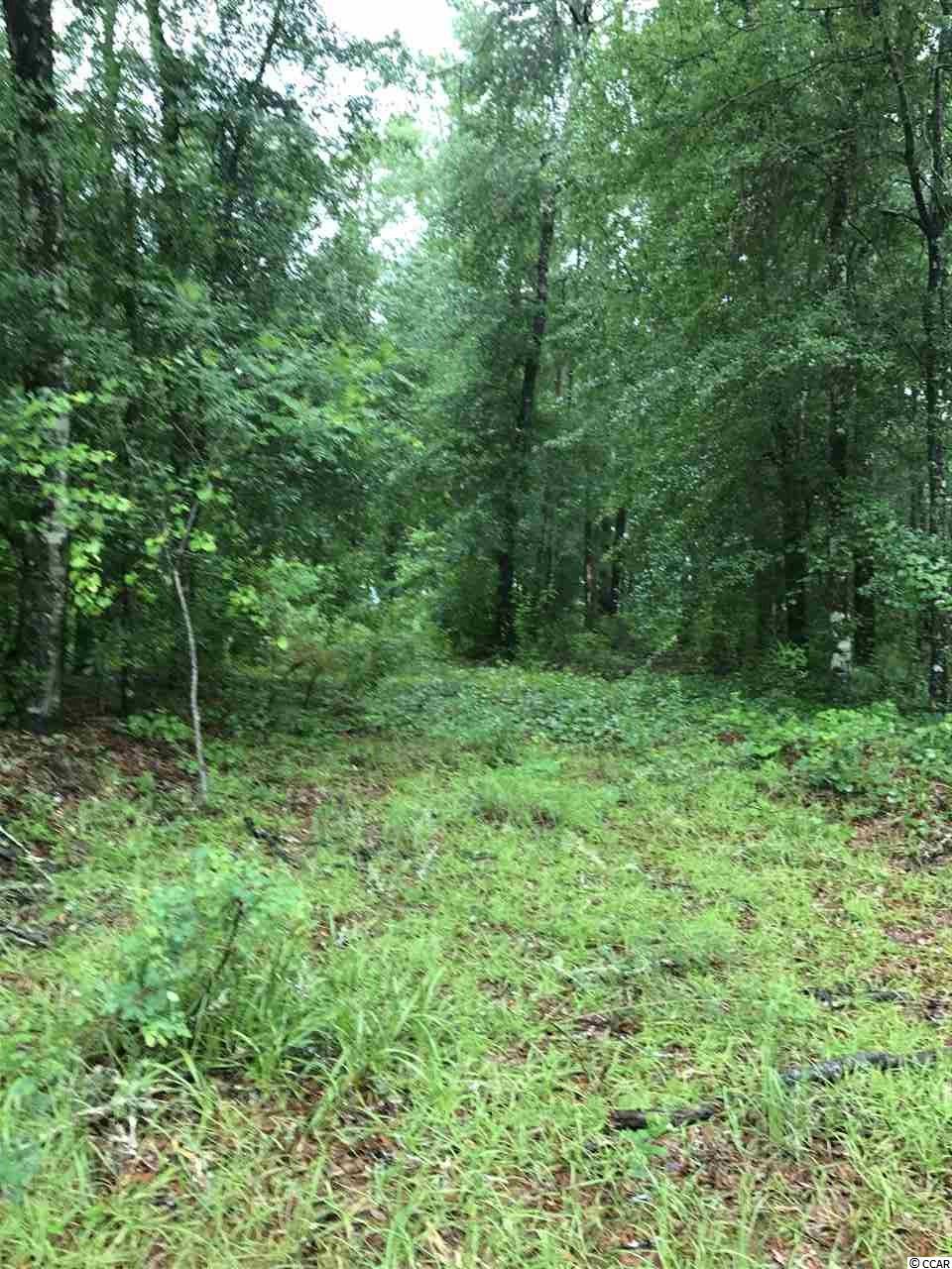 Lot 3 Mohican Dr. Georgetown, SC 29440
