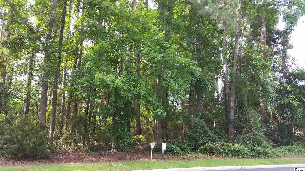 Lot 123 Fieldgate Circle Pawleys Island, SC 29585