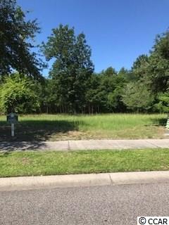 Lot 252 James Island Rd. North Myrtle Beach, SC 29582