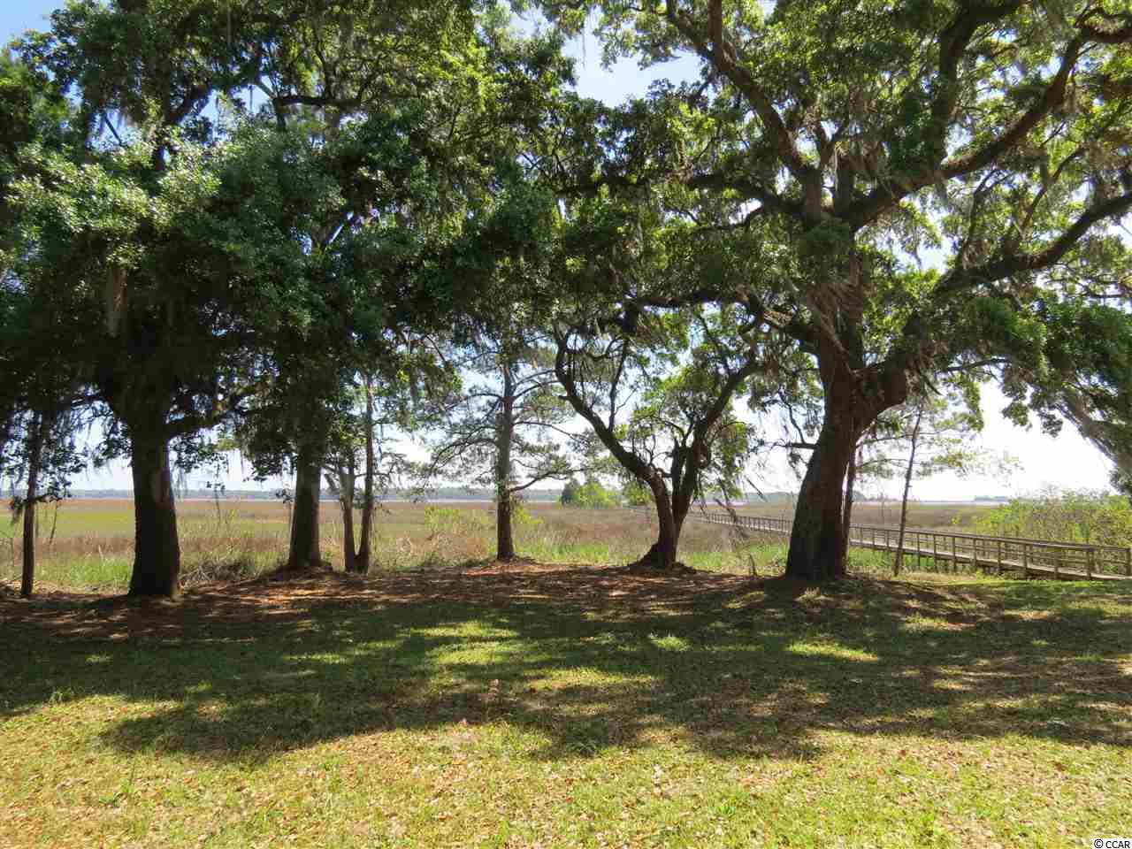 Lot 5 Whitehall Ave. Georgetown, SC 29440