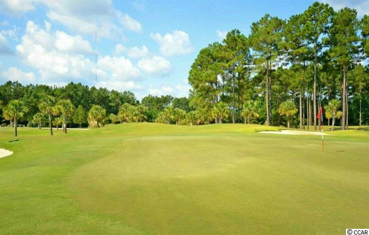 234 Harbison Circle Myrtle Beach, SC 29588