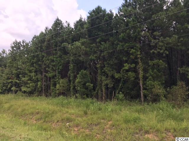 57 acres Highway 905 Longs, SC 29568