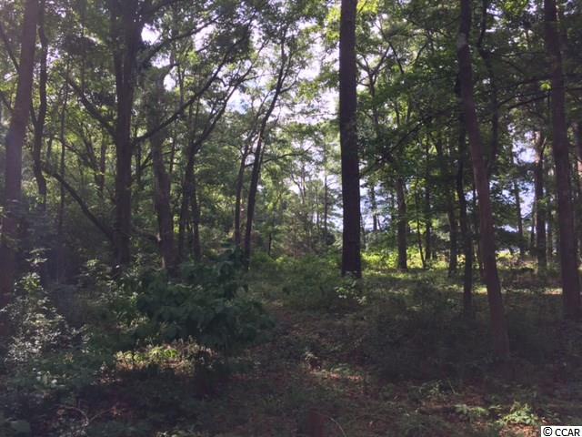 Lot 4 Live Oak Dr. Little River, SC 29566