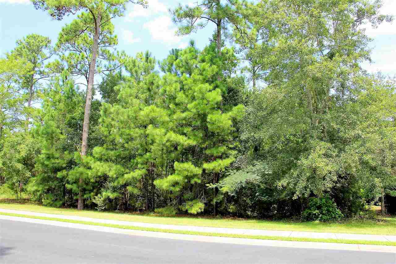 Lot 55 Highwood Circle Murrells Inlet, SC 29576