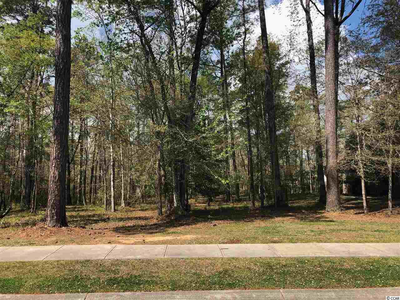 Lot 204 Chamberlain Rd. Myrtle Beach, SC 29588