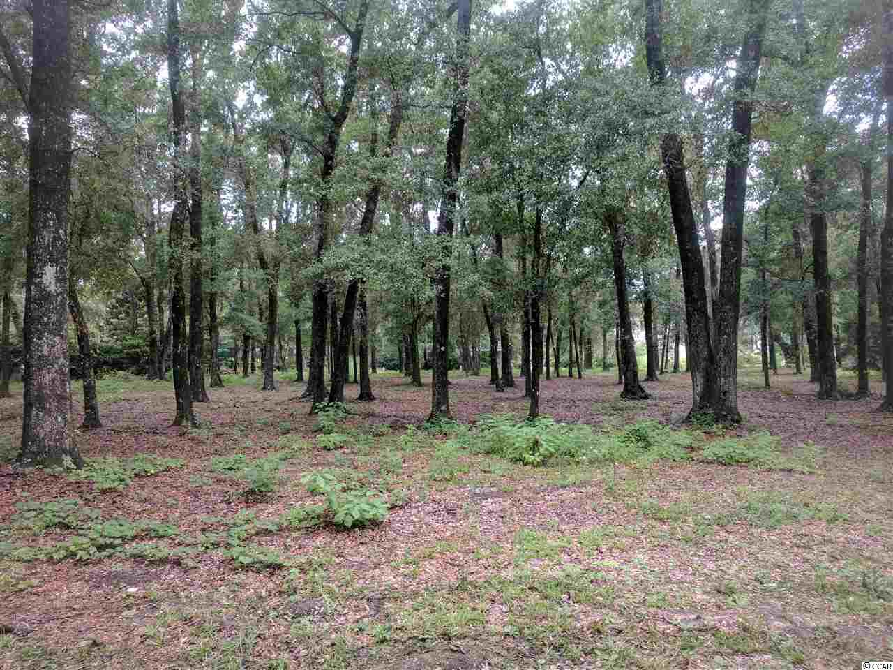 140 Emerson Loop Pawleys Island, SC 29585