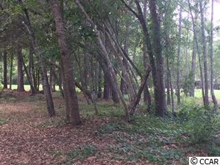 1208 Clipper Rd. North Myrtle Beach, SC 29582