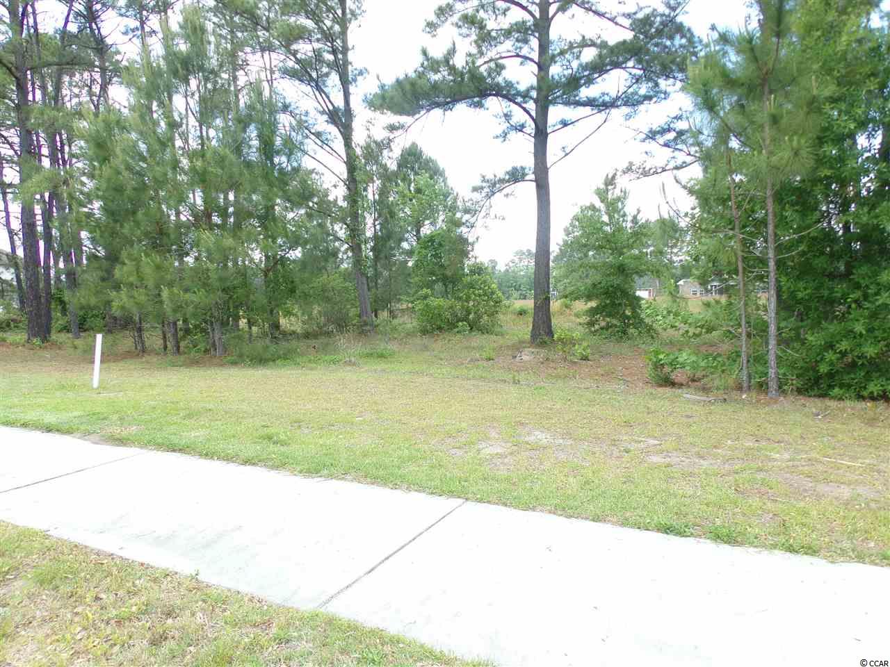 1229 Woodstork Dr. Conway, SC 29526