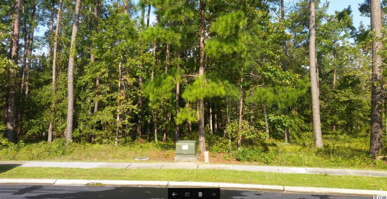 2684 Henagan Ln. Myrtle Beach, SC 29588