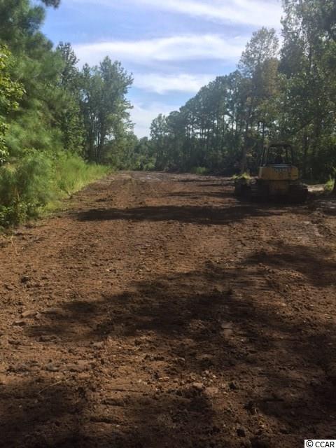 TBD Spring Garden Rd. Conway, SC 29527