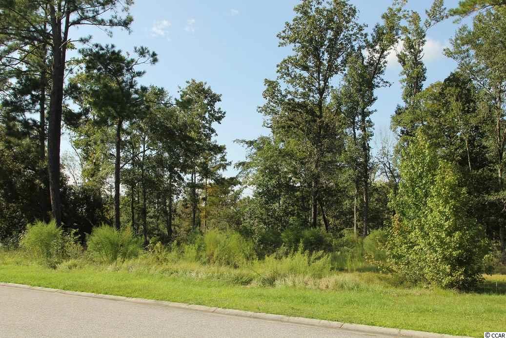 Lot 20 Rivers Edge Dr. Conway, SC 29526
