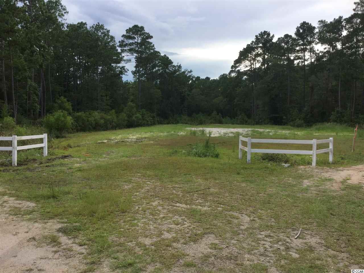 428 E Beargrass Rd. Longs, SC 29568