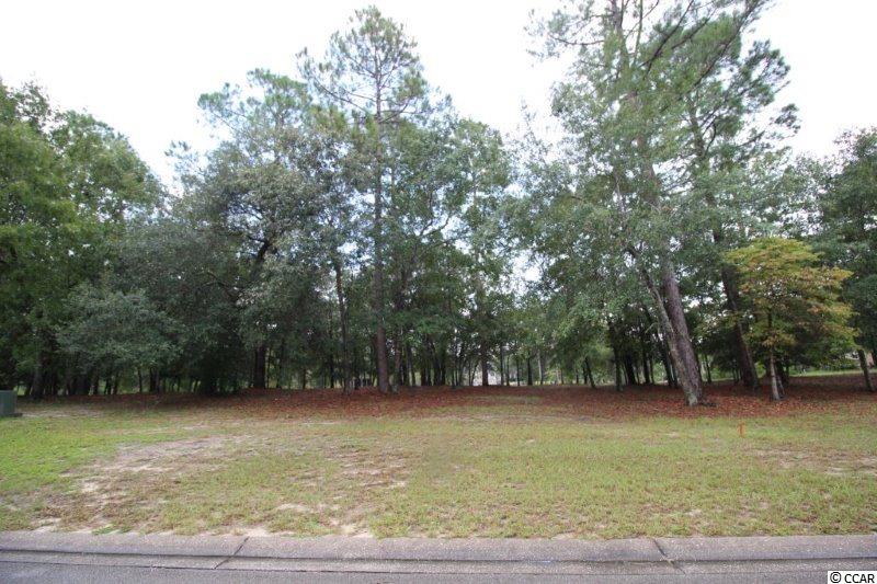 81 Plantation Passage Dr. Bolivia, NC 28422