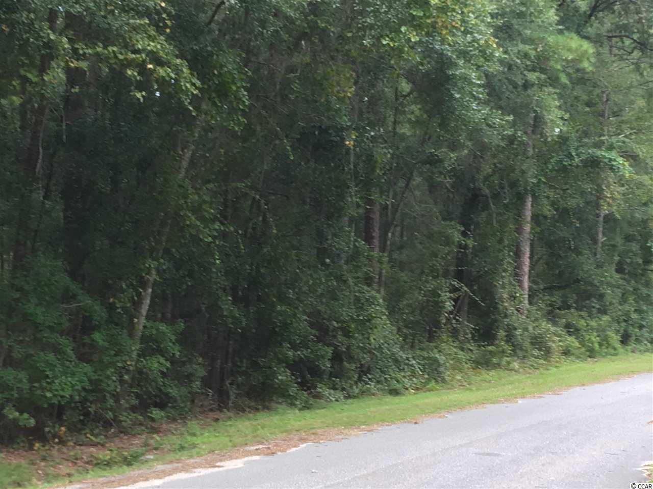 LOT 17 Bear Bluff Dr. Conway, SC 29526