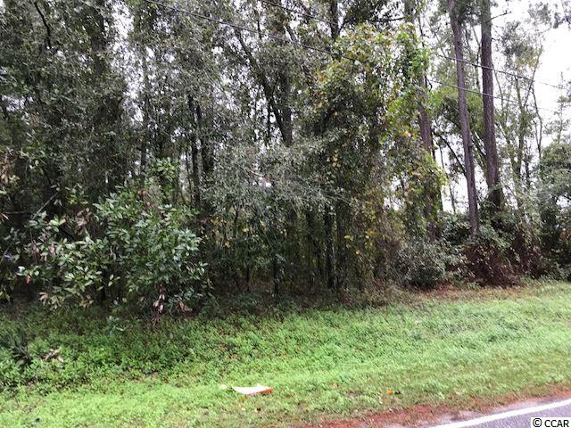 6.7 Acres Cates Bay Hwy. Conway, SC 29527