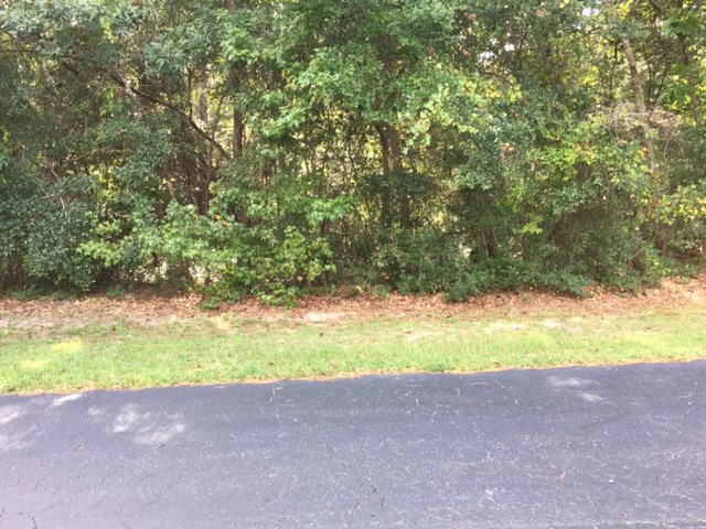 Lot 2 Live Oak Dr. Little River, SC 29566