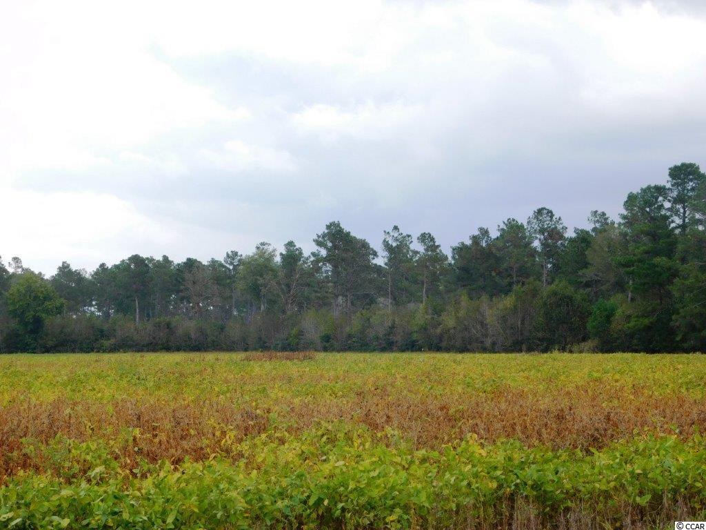 TBD Old Buck Creek Rd. Longs, SC 29568