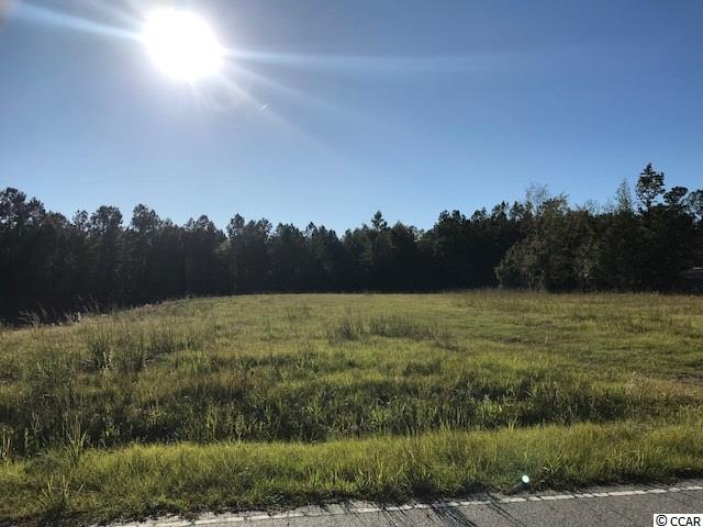 2.78 Ac Hagwood Circle Conway, SC 29527