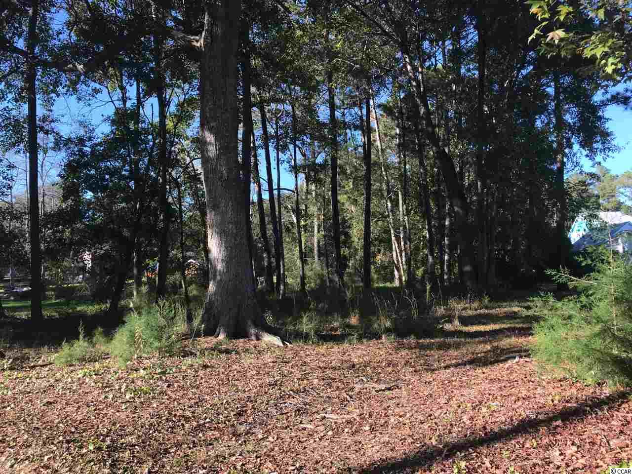 Lot 3 Dogwood Ln. Little River, SC 29566