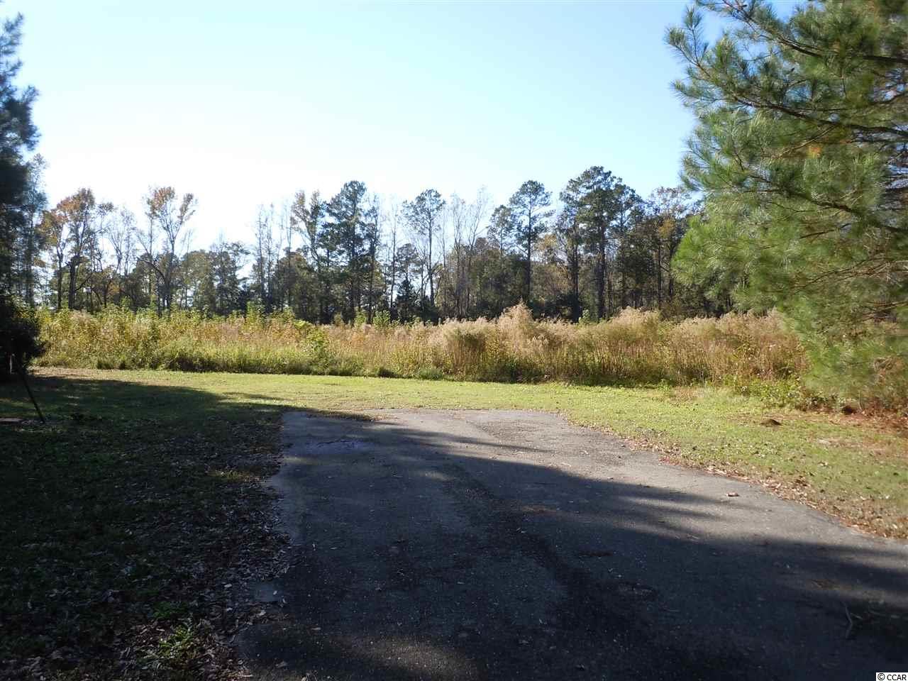 65 Harriet Dr. Tabor City, NC 28463