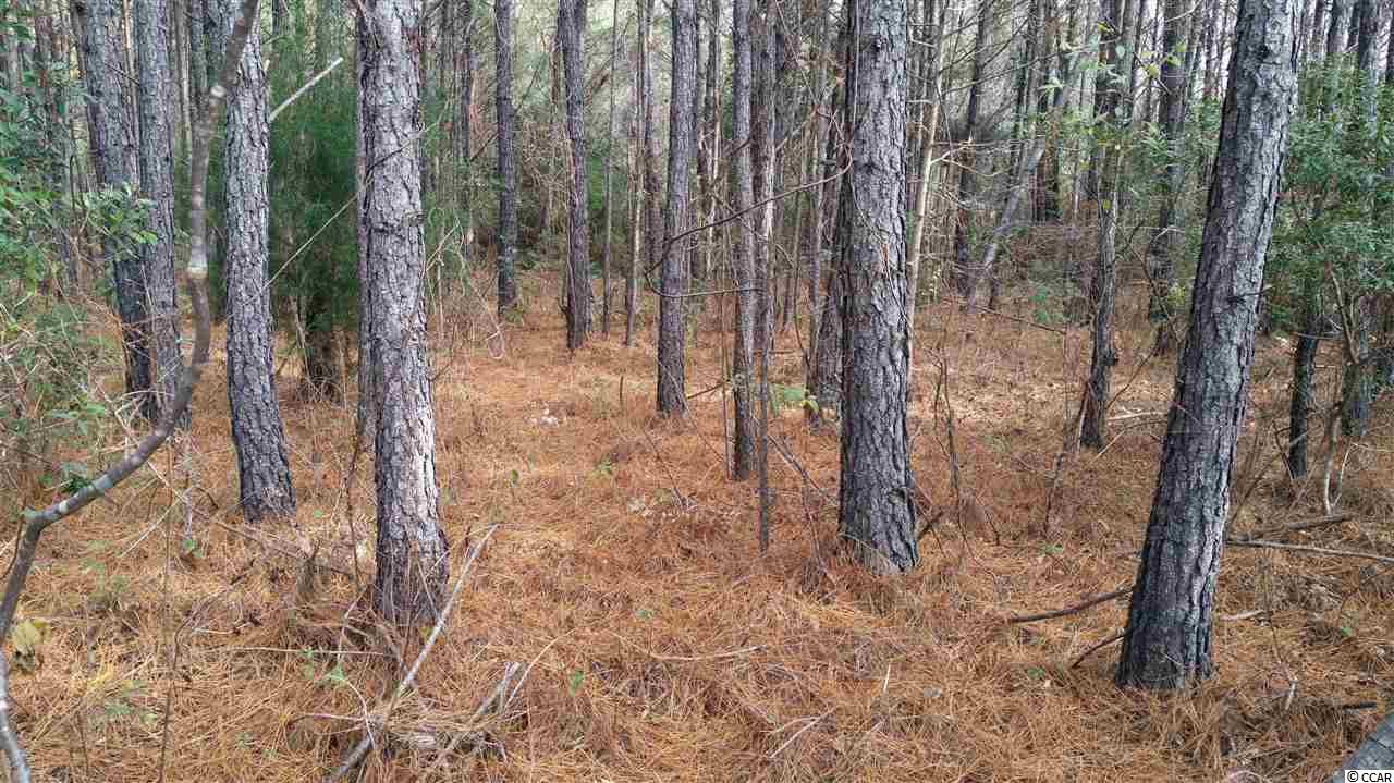 Lot S3 Wedgefield Rd. Georgetown, SC 29440