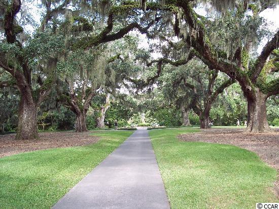 Lot 20 Fish Shack Alley Murrells Inlet, SC 29576