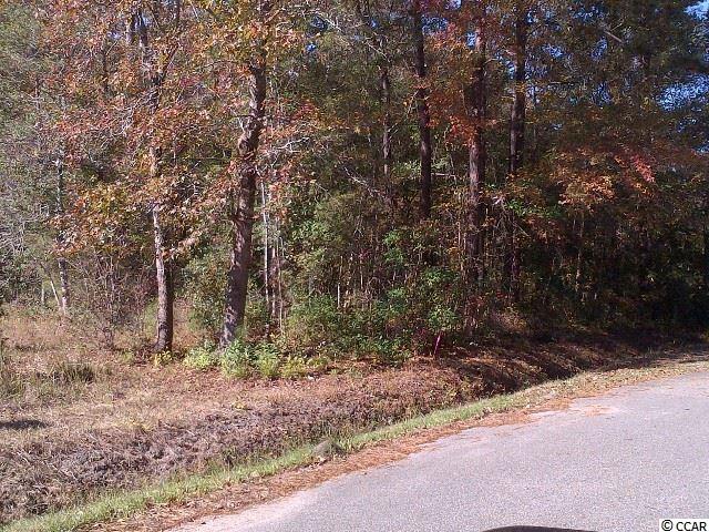 Lot 19 Buck Forest Conway, SC 29527