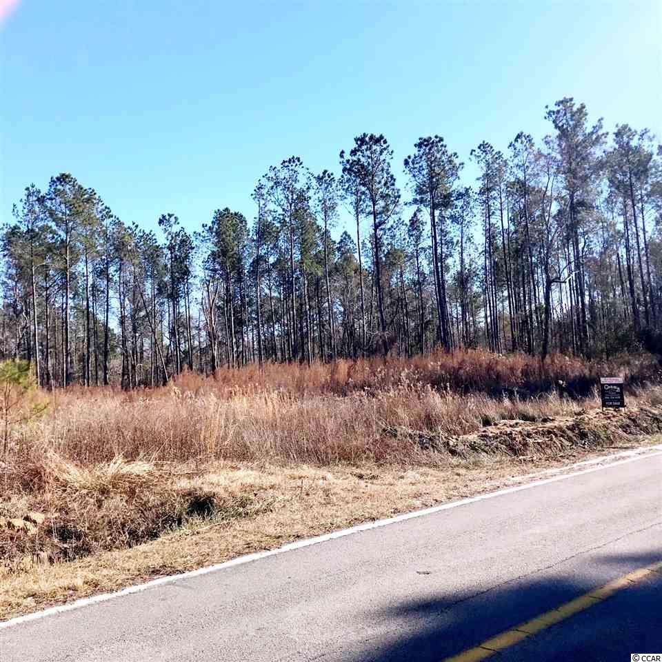 TBD Old Buck Creek Rd. Longs, SC 29568