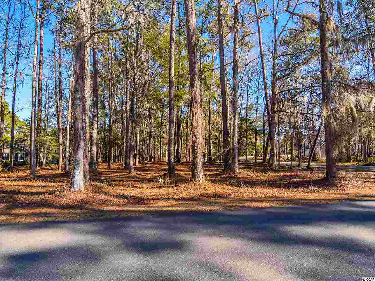 Lot 1 Makepeace Rd. Pawleys Island, SC 29585