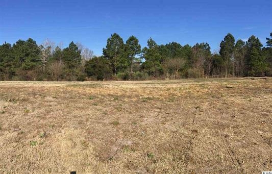 Lot 54 Via Verde Dr. North Myrtle Beach, SC 29582