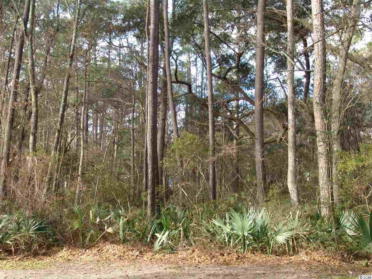 391 Old Carriage Loop Georgetown, SC 29440