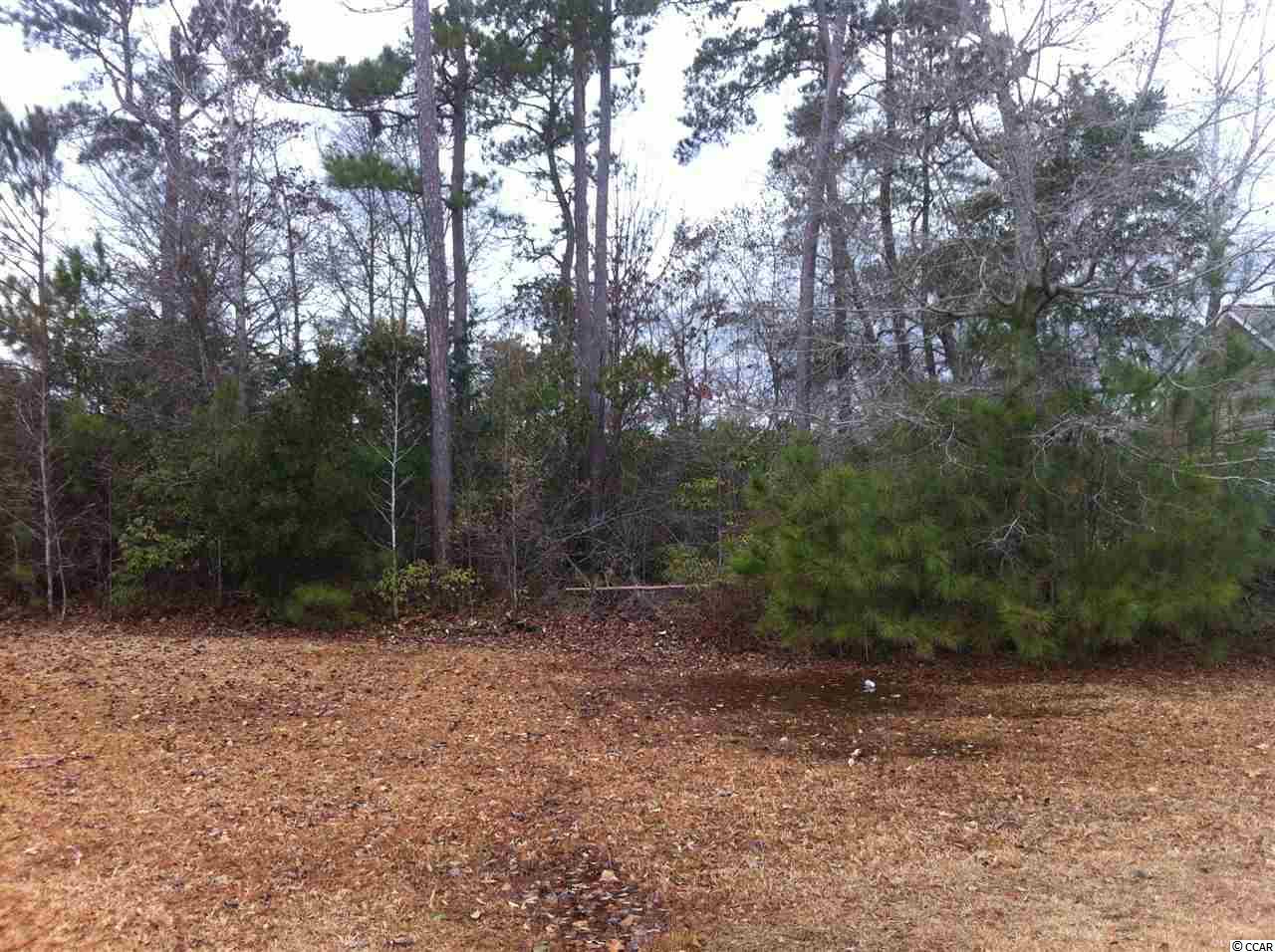 464 Deerwatch Circle Longs, SC 29568