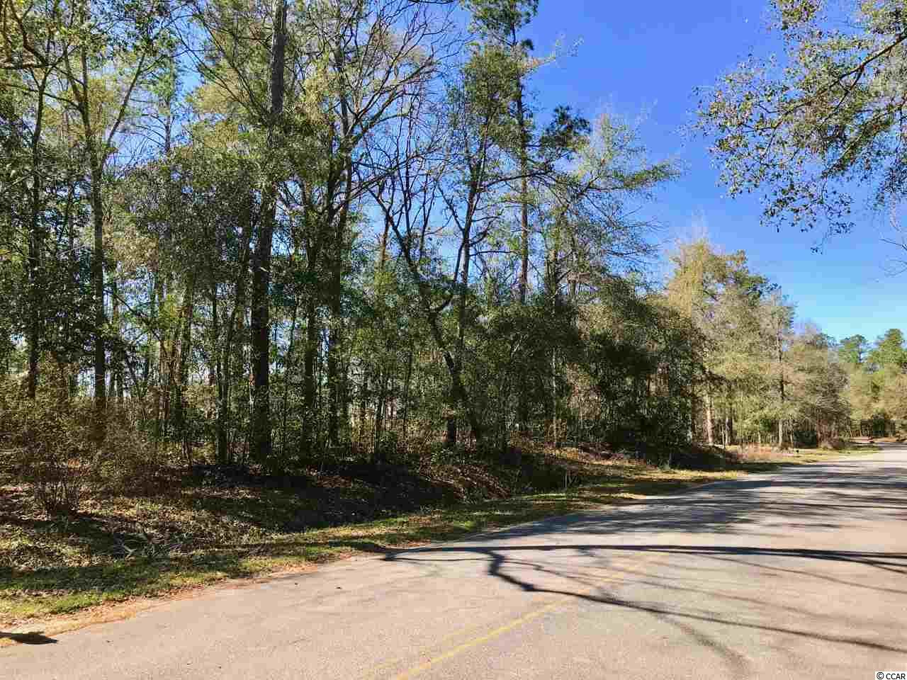 Francis Marion Dr. Georgetown, SC 29440