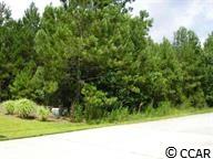 Edisto River Rd. Myrtle Beach, SC 29588