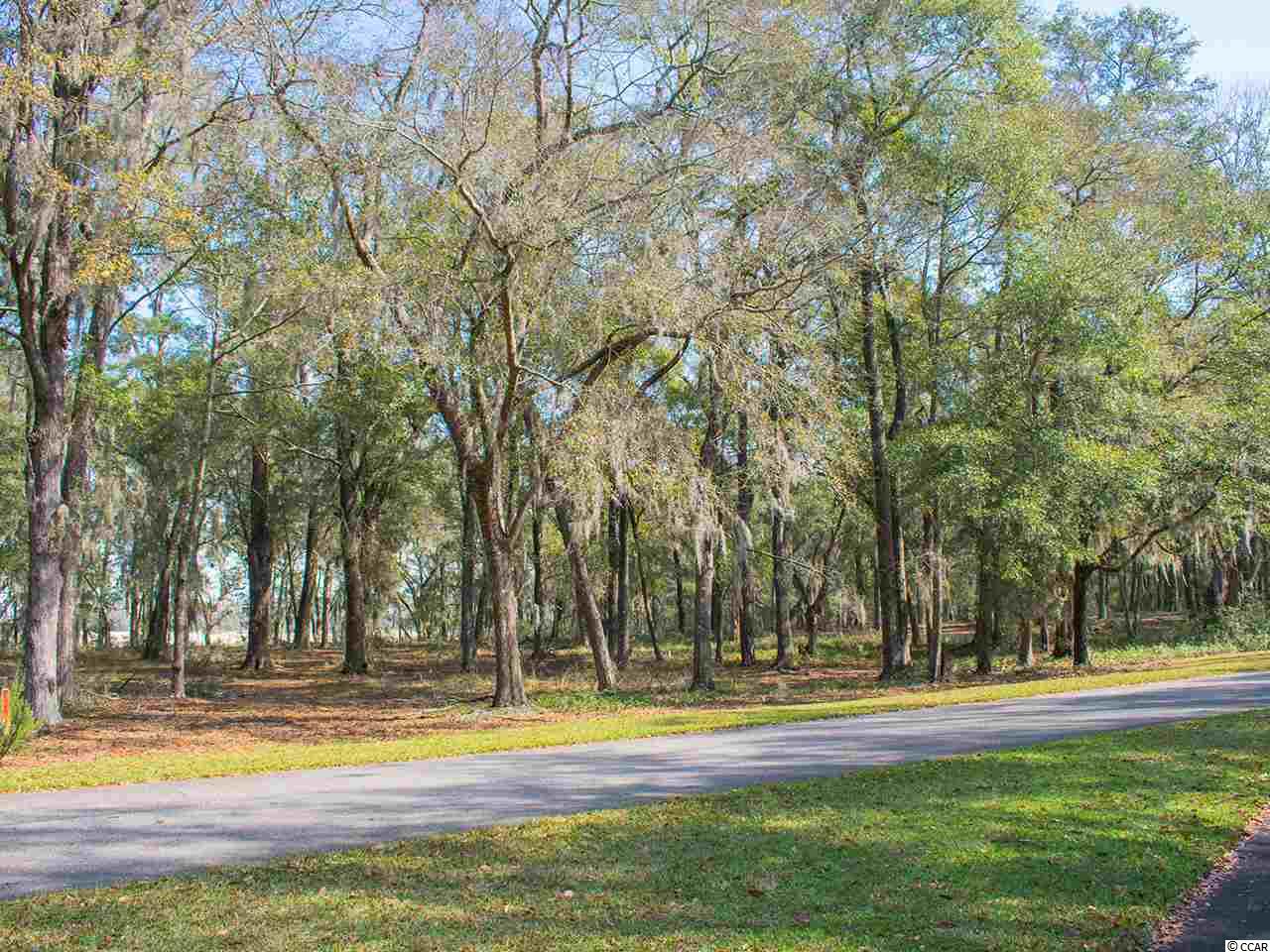 LOT 4 Rice Bluff Rd. Pawleys Island, SC 29585