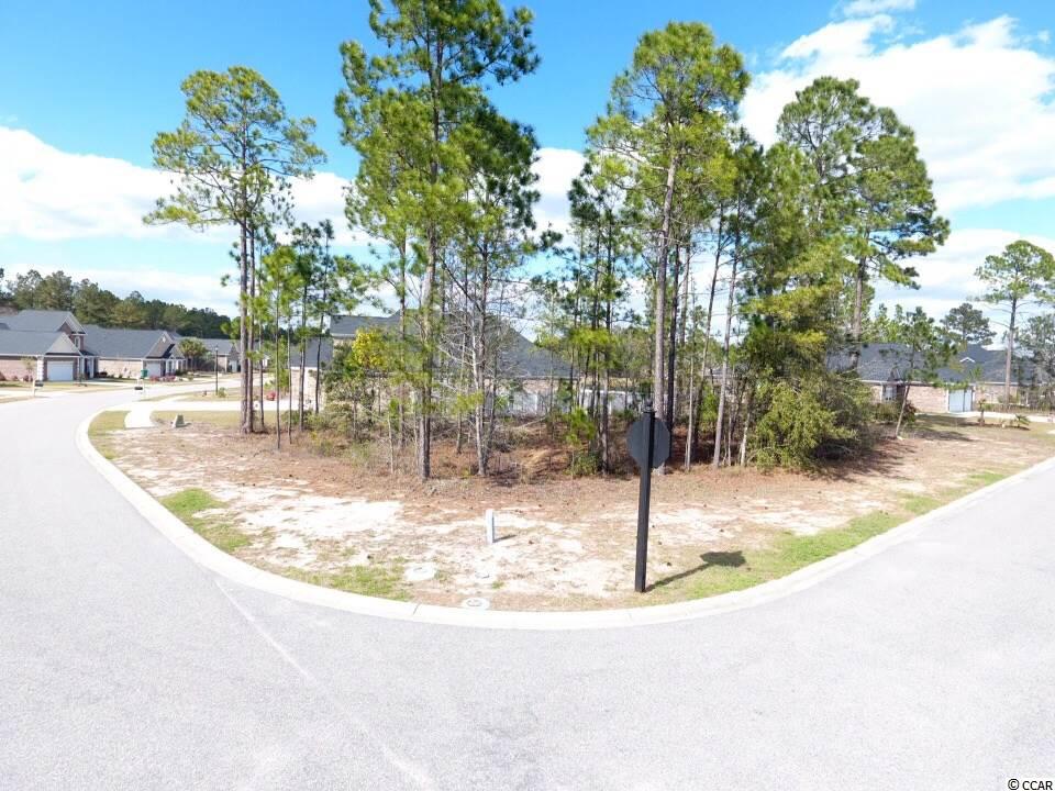 TBD Henry James Dr. Myrtle Beach, SC 29579