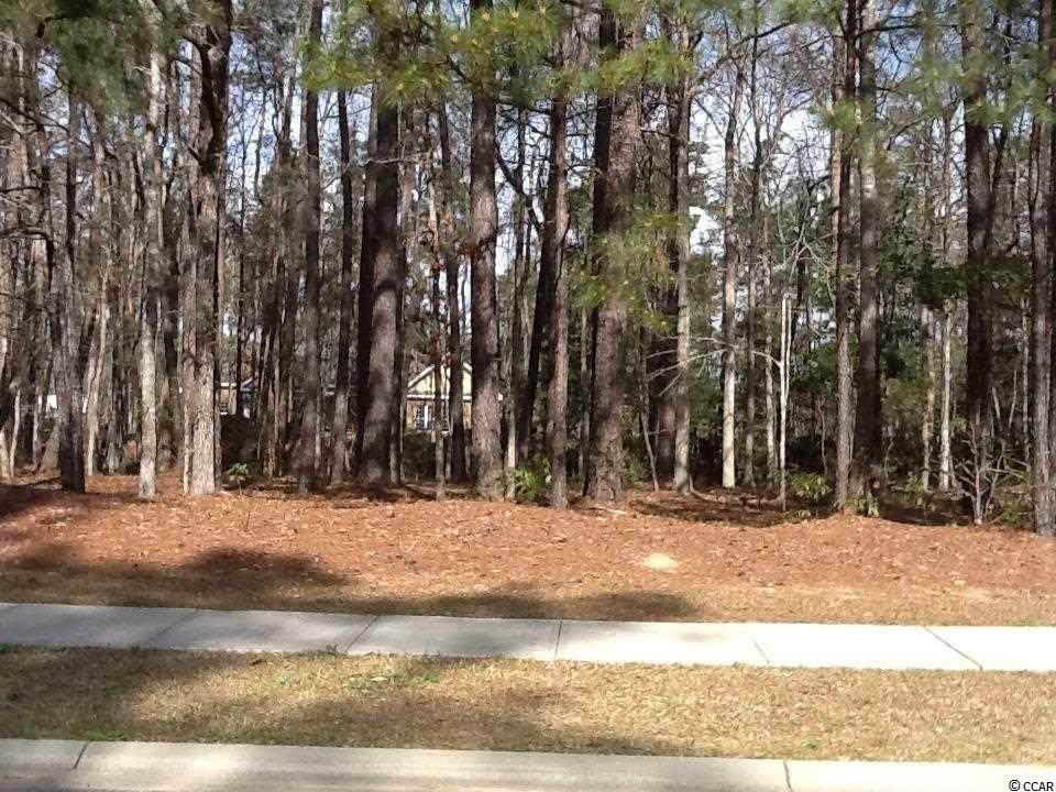 LOT 419 Henagan Ln. Myrtle Beach, SC 29588