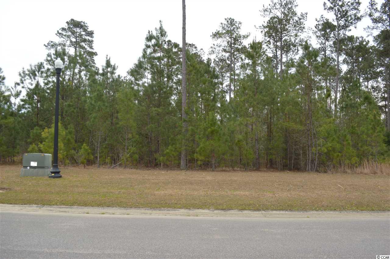 Lot 173 Knotty Pine Way Murrells Inlet, SC 29576